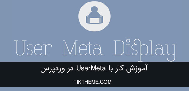 کار با User Meta در وردپرس