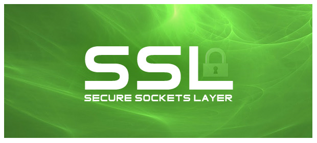 تاثیر SSL بر سئو سایت